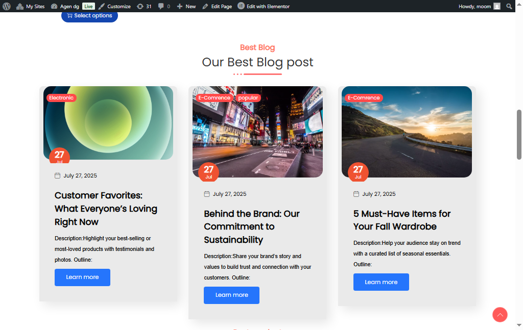 Project Screenshot 2 of a product page