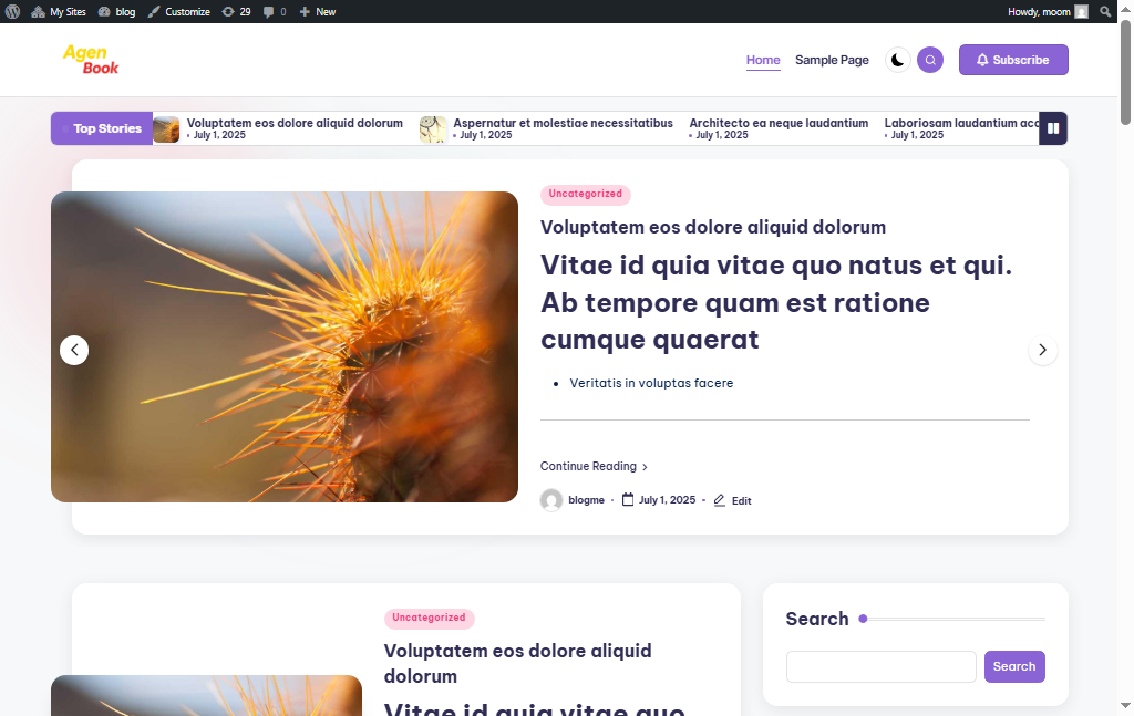 Project Screenshot 1 of the blog's home page