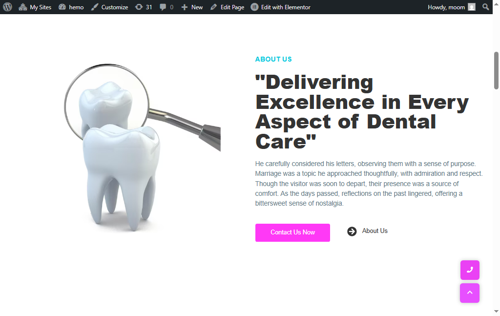 Project Screenshot 5 of the mobile responsive layout